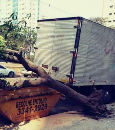 Caminhão colide e derruba árvore no centro de Campo Grande