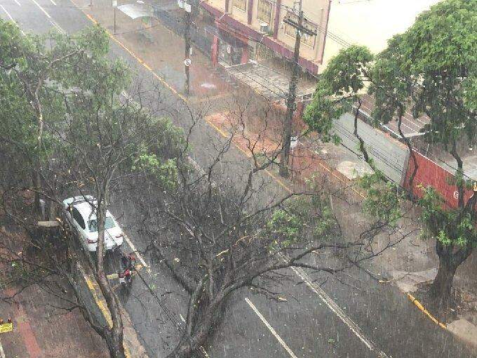 Temporal derruba árvores, que caem sobre carros e interditam vias importantes em Campo Grande