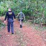Sete são presos e multados em R$ 57 mil por desmatamento em MS