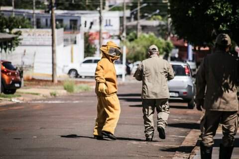 Corpo de Bombeiros durante atendimento de ataque de abelhas em Campo Grande