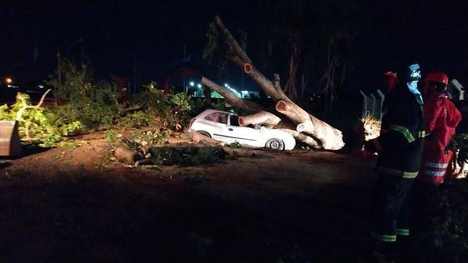 Com temporal, árvore cai e destrói carro em cidade de MS