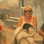 Australiana salvou coala que estava sendo engolido pelas chamas