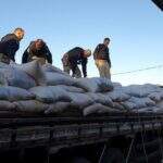 Caminhoneiro é preso com 1,5 ton de maconha que saiu de Campo Grande em carga de aveia