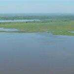 Pesquisadores articulam início de estudos sobre efeitos de agroquímicos no Pantanal