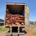 Motorista é multado em R$ 11,6 mil por transporte de madeira ilegal na BR-158