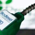 Aprobio rebate BR Distribuidora e diz que nunca faltou biodiesel no País