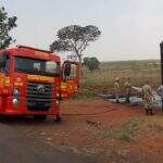 Boi morre ao ser transportado por caminhão que pegou fogo