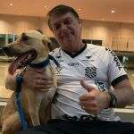Bolsonaro posta foto ao lado de cão e diz: ‘vacina obrigatória só no Faísca’