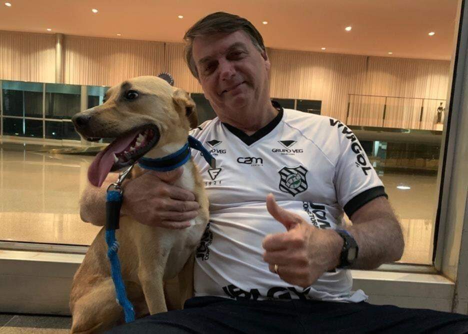 Bolsonaro posta foto ao lado de cão e diz: ‘vacina obrigatória só no Faísca’