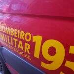 Motorista morre após carro colidir contra caminhão boiadeiro e pegar fogo na MS-162