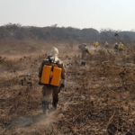 Com reforço de Aquidauna e Jardim, combate a incêndios é feito em 2 regiões no Pantanal