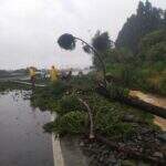 ‘Ciclone bomba’ deixa rastro de destruição e mata 4 no Sul do país