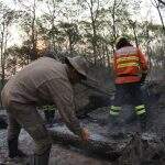 GALERIA: Bombeiros registram luta diária em combates aos incêndios no Pantanal