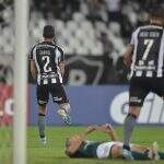 Com interino, Botafogo encerra jejum e derruba série invicta do Goiás