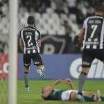 Com interino, Botafogo encerra jejum e derruba série invicta do Goiás