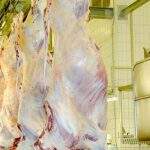 MS aumenta 46% no volume de exportações de carne bovina entre janeiro e agosto