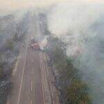 VÍDEO: Em região tomada pela fumaça, caminhões batem de frente e um morre
