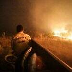Relatório aponta ação humana nas queimadas no Pantanal