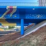 Viaduto da Ceará ‘ganha’ desenho de araras e cores da bandeira de Campo Grande