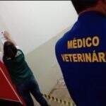 Após denúncia anônima Conselho de Medicina Veterinária recolhe 26 cães e interdita feira