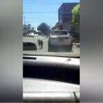 VÍDEO: Motorista é flagrado arrastando cachorro em Campo Grande