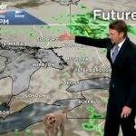 VÍDEO: cachorro viraliza após invadir previsão do tempo ao vivo na TV