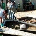 FAKE: Foto viral de caixão sepultado vazio não tem relação com enterros por Covid-19 no Amazonas