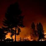 Incêndio histórico na Califórnia já queimou 890 mil hectares e temperaturas chegam a 54,5ºC