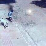 Cachorro fica gravemente ferido após homem instigar pitbull a atacar