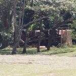 Caminhão caçamba tomba dentro do Parque das Nações ao descarregar pedra