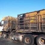 Carreta fica totalmente destruída após pegar fogo na BR-060