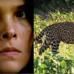Moradores da região do Pantanal não queriam que remake da novela fosse filmado agora