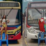 Capital oficial das araras, Campo Grande ‘entra na brincadeira’ com meme de capa da Anitta