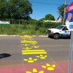Capifaixa: Cidade de MS cria faixa para alertar motoristas e proteger capivaras