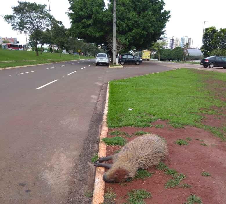 Foto: Fala povo| Divulgação