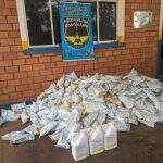Polícia apreende carga de agrotóxico contrabandeado avaliada em R$ 1 milhão
