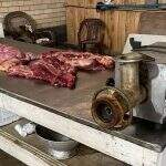 Polícia prende 6 por venda de carne de cavalo para hamburguerias na serra gaúcha