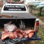 Após caça em área particular e abate de catetos, caçadores presos e multados em R$ 21 mil em MS