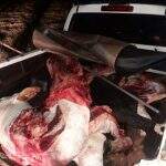 Brasileiro é preso na fronteira de MS com carne de abate clandestino