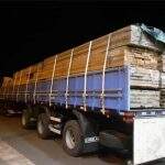 Carga de madeira transporta ilegalmente é apreendida; empresa multada em R$ 18 mil