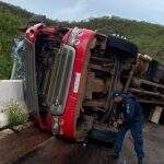 Carreta com bois tomba em serra e grávida fica ferida na MS-430