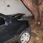 Motorista bêbada sem CNH dorme ao volante e bate contra árvore; passageiro ficou ferido