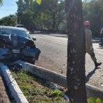 Motorista desvia de cachorro e bate contra poste e árvore em avenida