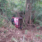 Motorista capota carro e só para após entrar em mata na BR-262