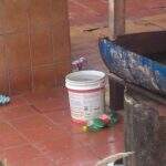 Com medo de dengue, vizinhos se preocupam com casa abandonada
