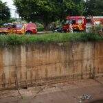 VÍDEO: Bombeiros tentam resgate de ‘doguinho driblador’ que foi parar no Rio Anhanduí
