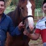 Discussão em corrida de cavalos na fronteira termina com morte de dois irmãos