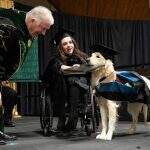 Cão recebe diploma honorário de universidade por ajudar aluna cadeirante nos EUA