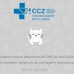 CCZ abre na próxima segunda agendamento on-line para castração de felinos