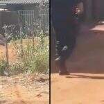 VÍDEO: Imagens flagram polícia rendendo rapaz que fez grávida refém e a agrediu